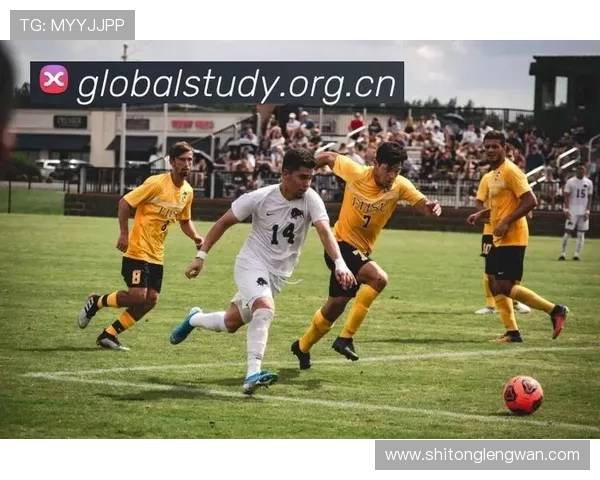 ✅体育直播🏆世界杯直播🏀NBA直播⚽- 第十三届全国藏医药高级研修班在北京藏医院举办- sports