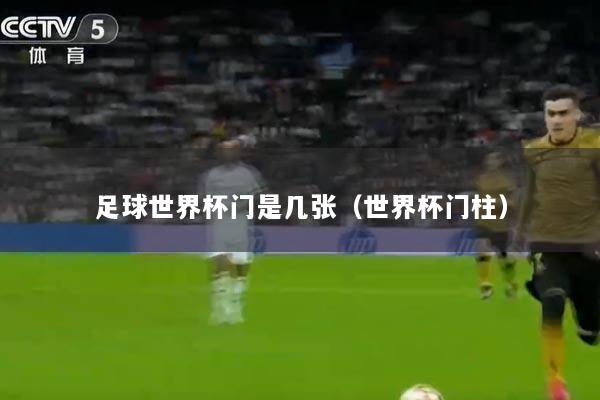 足球世界杯门是几张（世界杯门柱）