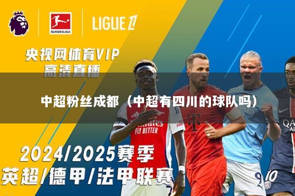 中超粉丝成都（中超有四川的球队吗）