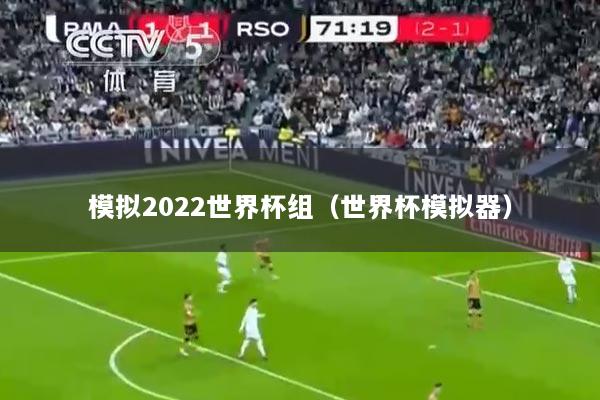 模拟2022世界杯组（世界杯模拟器）