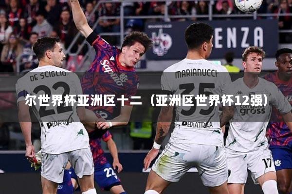 尔世界杯亚洲区十二（亚洲区世界杯12强）