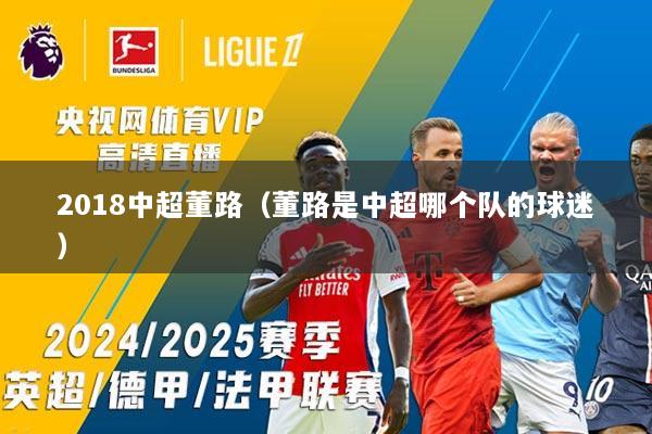 2018中超董路（董路是中超哪个队的球迷）