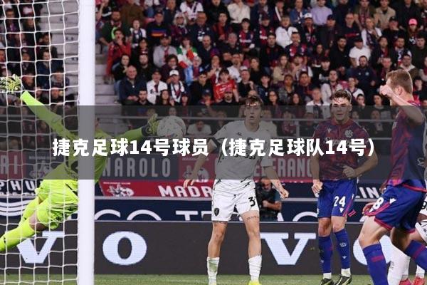捷克足球14号球员（捷克足球队14号）