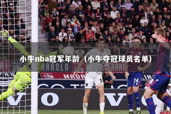 小牛nba冠军年龄（小牛夺冠球员名单）