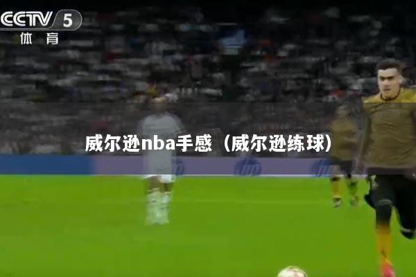 威尔逊nba手感（威尔逊练球）