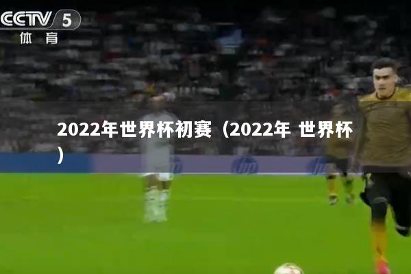 2022年世界杯初赛（2022年 世界杯）